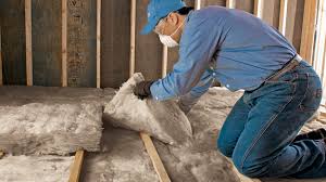 Best Insulation for New Construction  in Oakland, OK